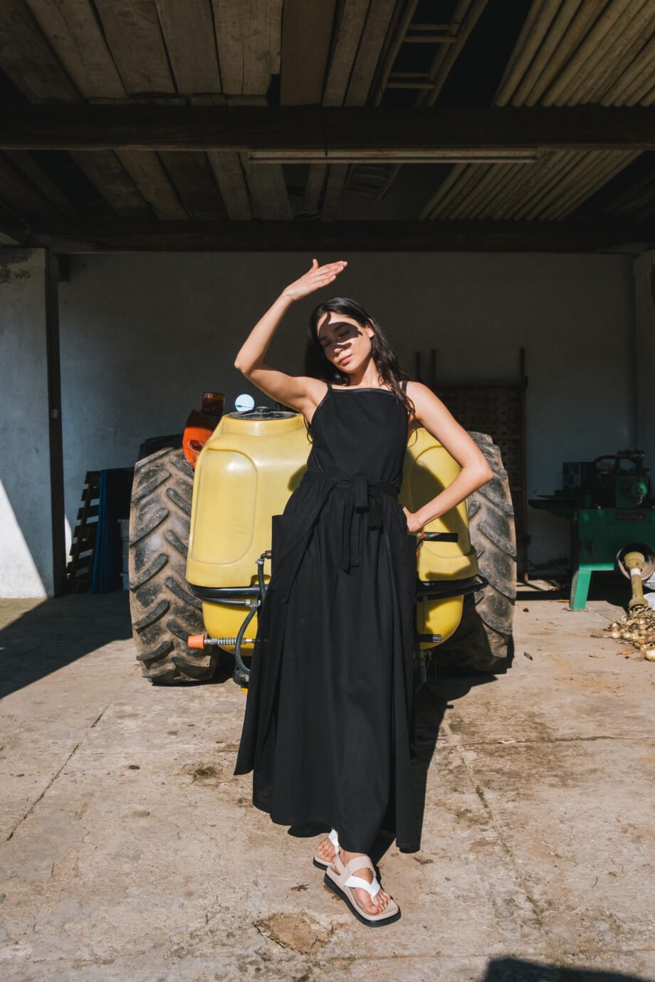 Elisa